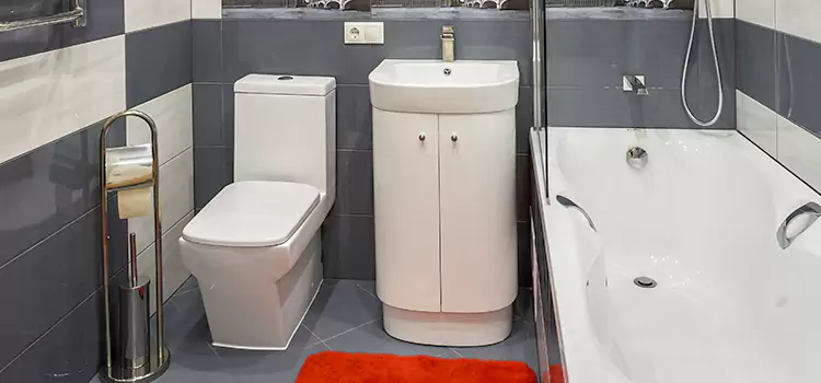 Hansgrohe Shaving Mirror Port Arthur